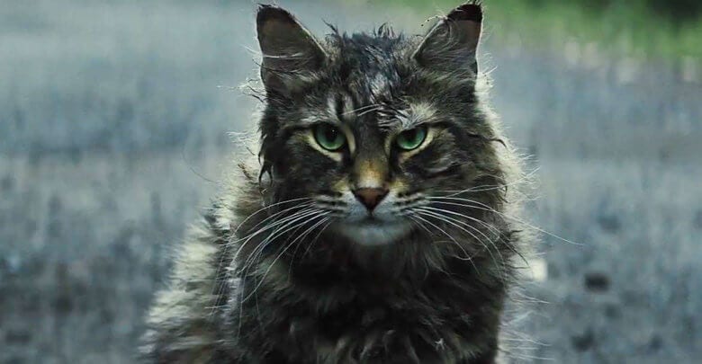 Pet Sematary